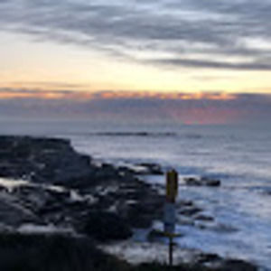 Meet your Posher, Genavieve jackson